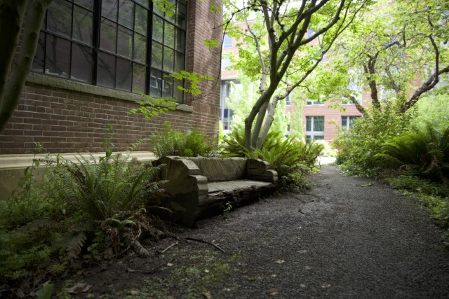 bench made out of a tree trunk surrounded by ferns