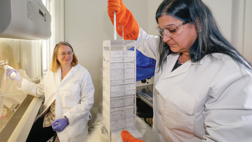 Two people in lab coats and gloves working on a machine in a research laboratory