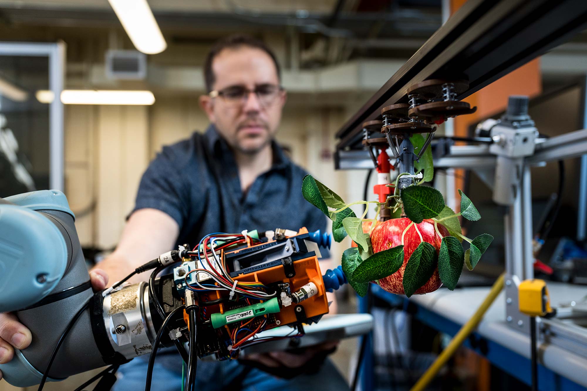 Robot picking an apple